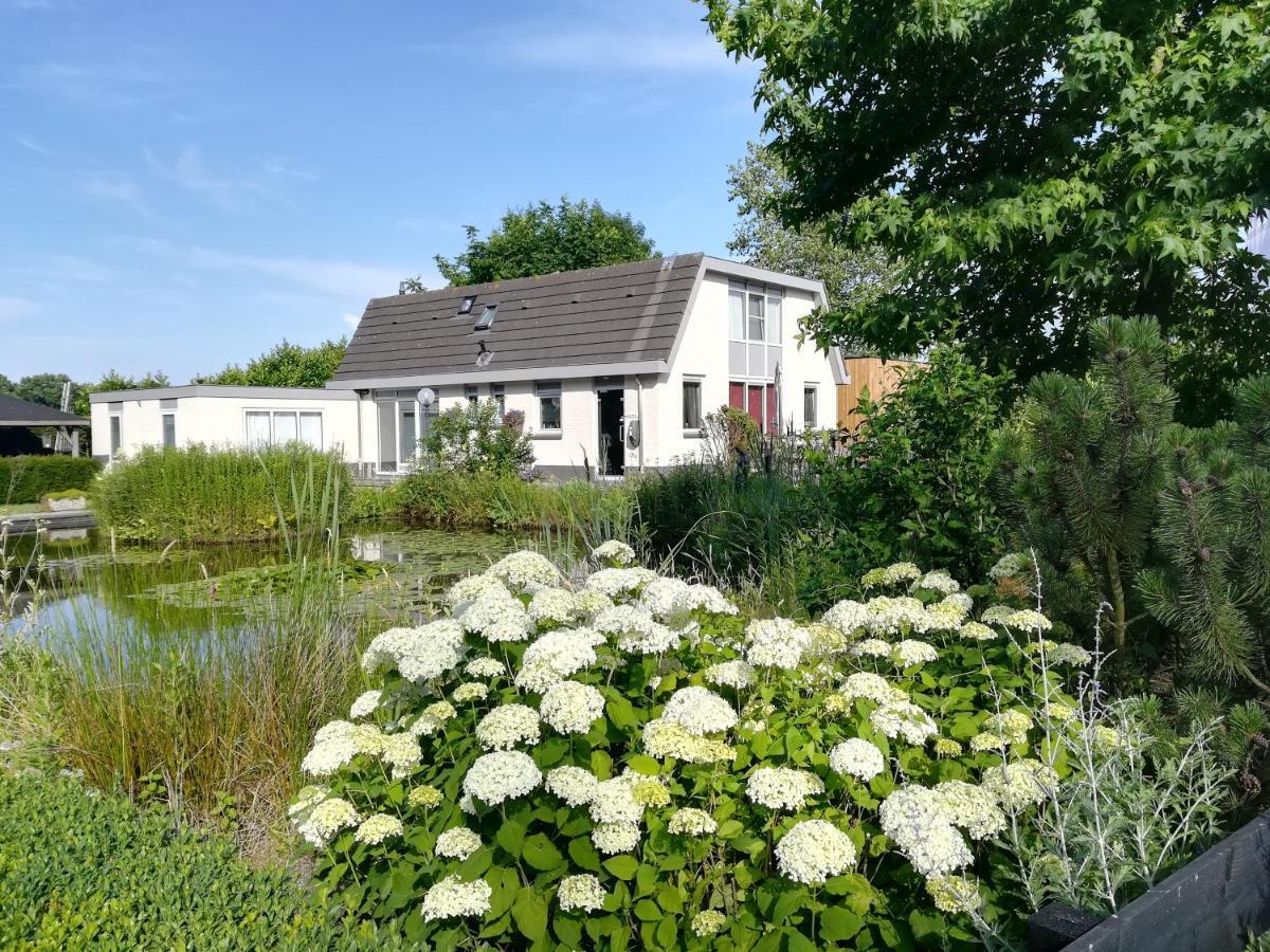 Luxe Studio Bovenweg Ренен Екстериор снимка